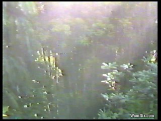 The New You Asked For It