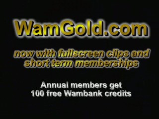 David Letterman Show - vintage wetlook clip