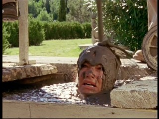 LÃ¼hen haben linke HÃ¤nde