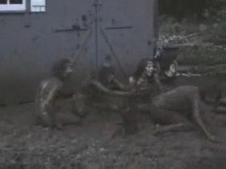 Muddy Melee--The Barbeque