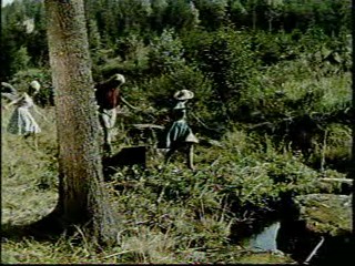 Woman falls in the creek