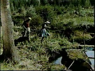 Woman falls in the creek