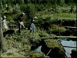 Woman falls in the creek