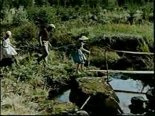 Woman falls in the creek