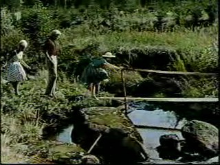 Woman falls in the creek