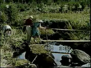 Woman falls in the creek