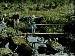 Woman falls in the creek