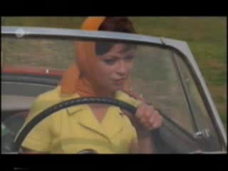 Ferien mit Piroschka