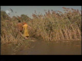 Ferien mit Piroschka