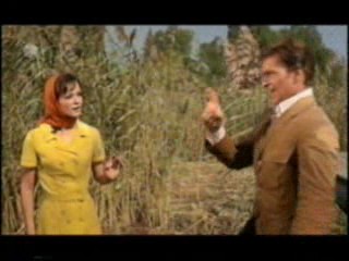 Ferien mit Piroschka