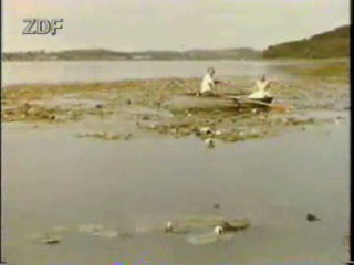 Hochzeit auf Immenhof (1958)