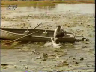 Hochzeit auf Immenhof (1958)