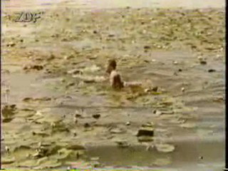 Hochzeit auf Immenhof (1958)