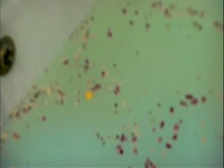 The Supersizers Eat The French Revolution