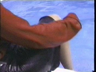 Leather skirt swimming