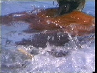 Leather skirt swimming