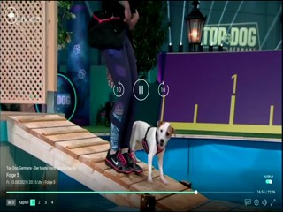 Top Dog Germany - 13.08.2021