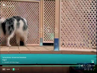 Top Dog Germany - 13.08.2021