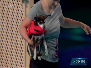 Top Dog Germany - 13.08.2021