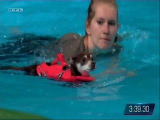 Top Dog Germany - 13.08.2021