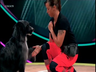 Top Dog Germany - 13.08.2021