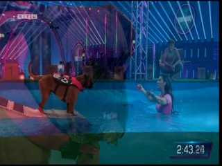 Top Dog Germany 2022