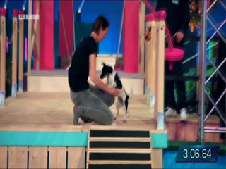 Top Dog Germany 2022