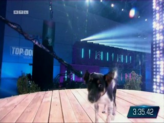 Top Dog Germany 2022