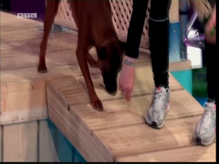 Top Dog Germany 08.07.2022 