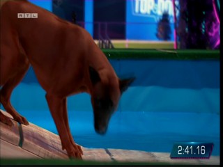 Top Dog Germany 08.07.2022 