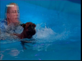 Top Dog Germany 08.07.2022 