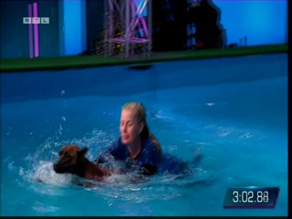 Top Dog Germany 08.07.2022 