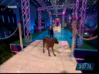 Top Dog Germany 08.07.2022 