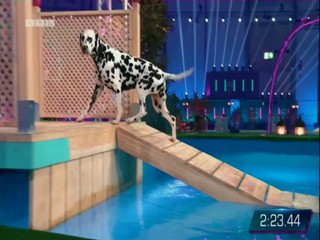 Top Dog Germany 08.07.2022