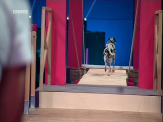 Top Dog Germany 08.07.2022