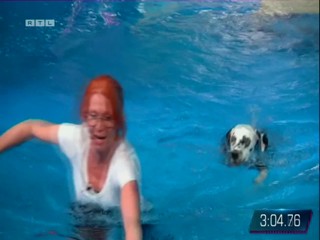 Top Dog Germany 08.07.2022