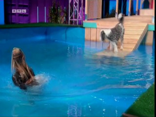 Top Dog Germany 08.07.2022