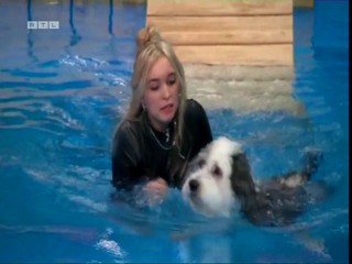 Top Dog Germany 08.07.2022