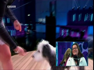 Top Dog Germany 08.07.2022