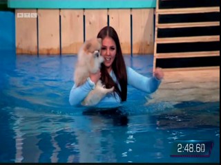 Top Dog Germany 16.07.2022