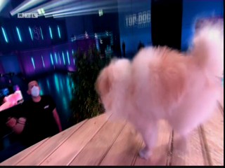 Top Dog Germany 16.07.2022