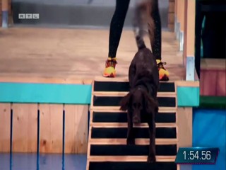 Top Dog Germany 16.07.2022