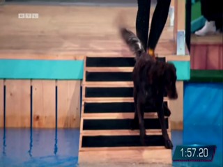 Top Dog Germany 16.07.2022