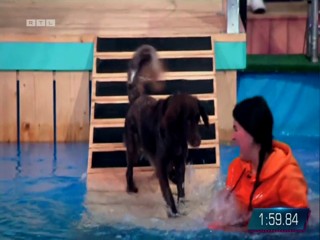 Top Dog Germany 16.07.2022