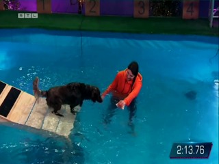 Top Dog Germany 16.07.2022