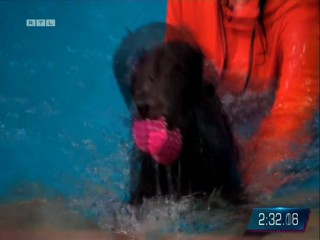 Top Dog Germany 16.07.2022