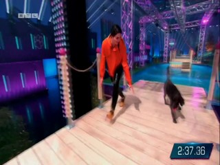 Top Dog Germany 16.07.2022