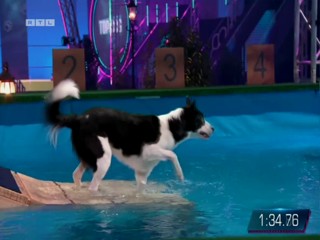 Top Dog Germany 16.07.2022