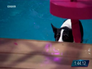 Top Dog Germany 16.07.2022