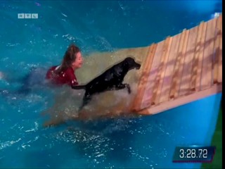 Top Dog Germany 16.07.2022